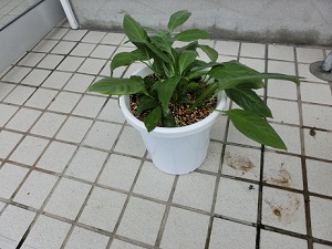 20140802103119 20140802103119
