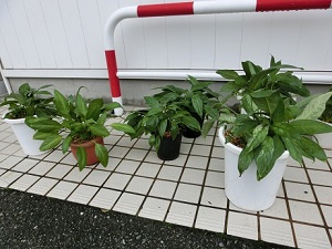20140802103131 20140802103131