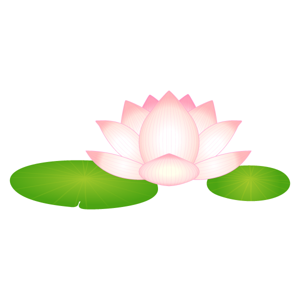 20161212023932 20161212023932