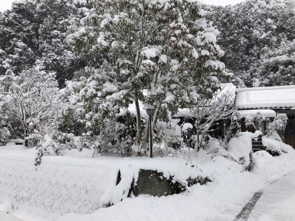 大寒波による積雪