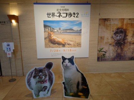 世界ネコ歩き展 (2)