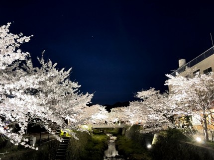 山口県山口市一の坂川