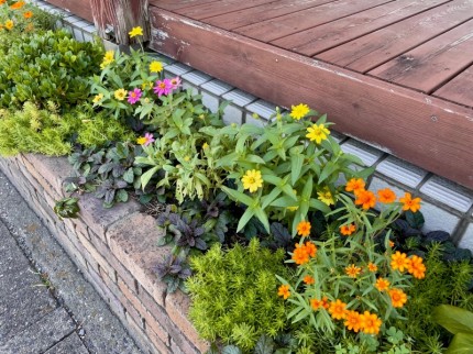 下関市にあるハウスドクター山口の花壇①