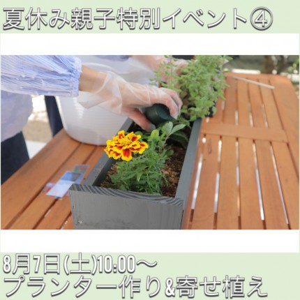 プランターと寄せ植え