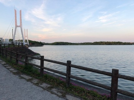 常盤公園周辺で散歩