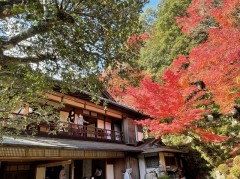 島根県の旧堀氏庭園