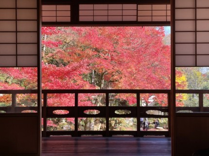 建具と紅葉