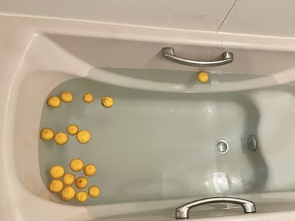 ④湯船に柚子を浮かべたお風呂