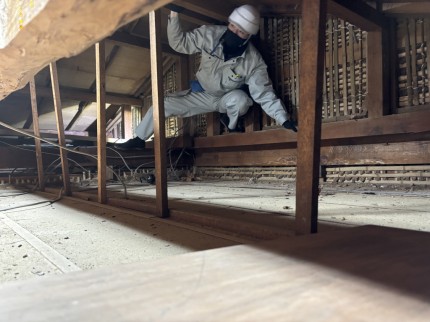 松茂建築デザイン調査