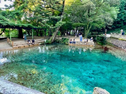 透き通った綺麗な池